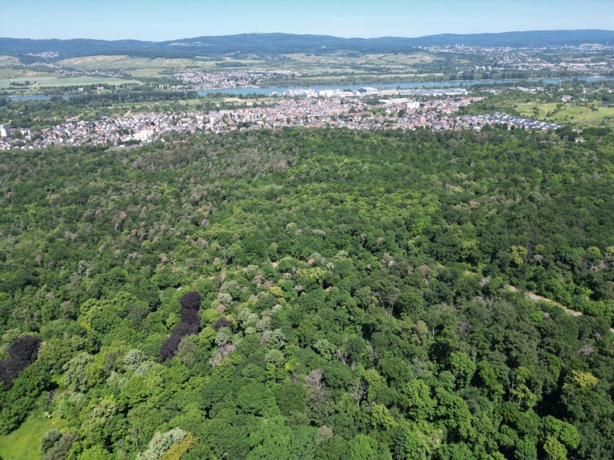 Ferienhaus Budenheim Екстер'єр фото